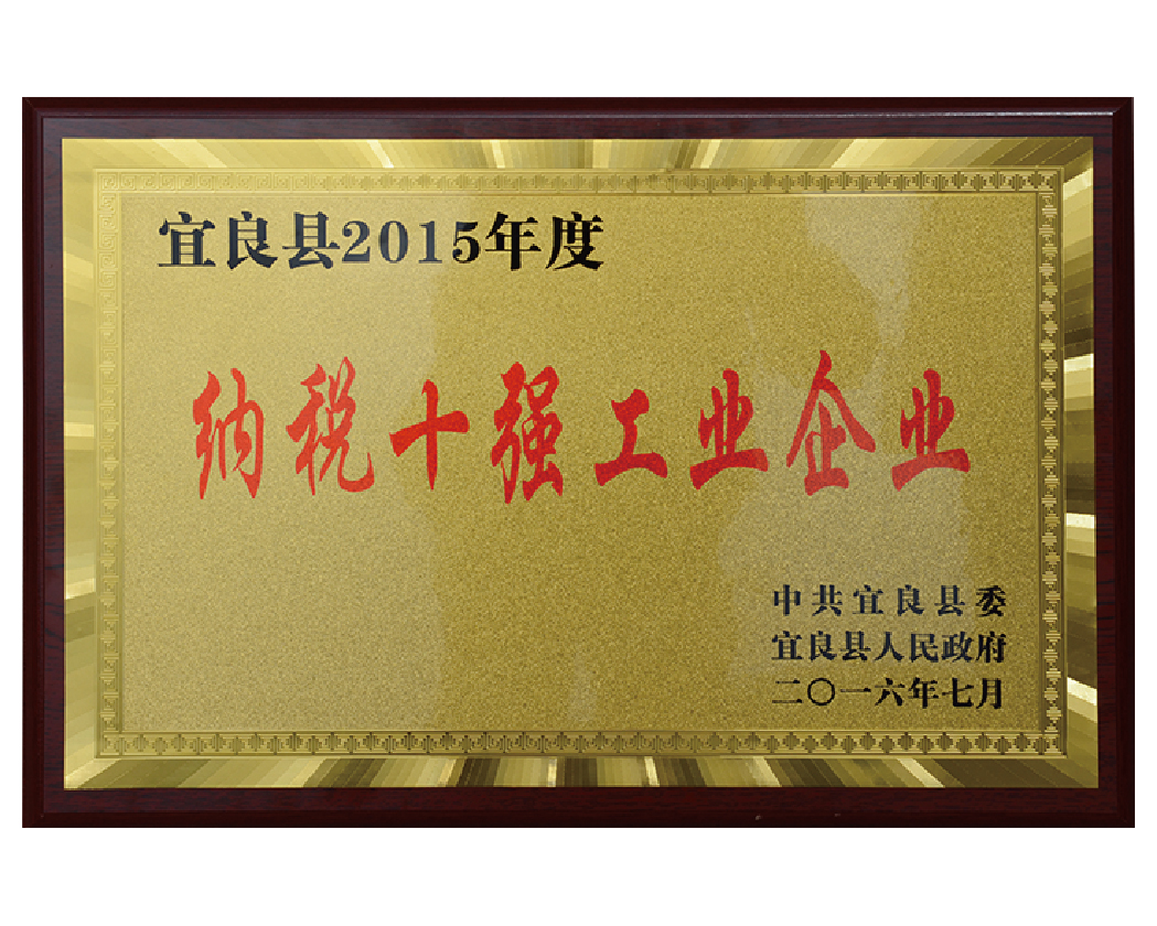 納稅十強工業(yè)企業(yè)